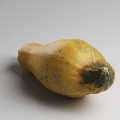 现代南瓜蔬菜-3